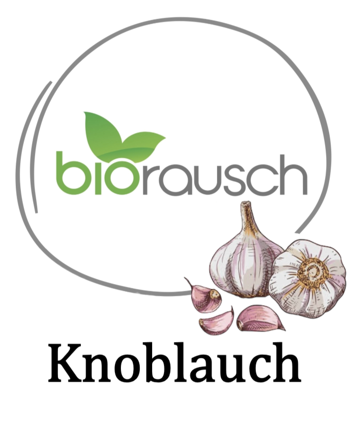 Knoblauch